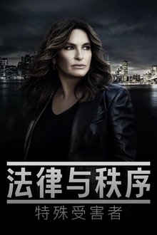 法律与秩序：特殊受害者